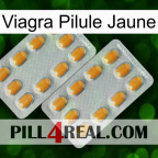 Viagra Yellow Pill cialis4